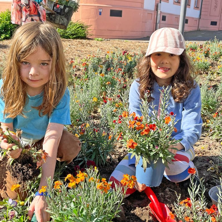 Zwei Mädchen knien in einem Blumenbeet in der Mainzer Innenstadt und buddeln Pflanzen aus. Die dürfen sie kostenlos mit nach Hause nehmen.