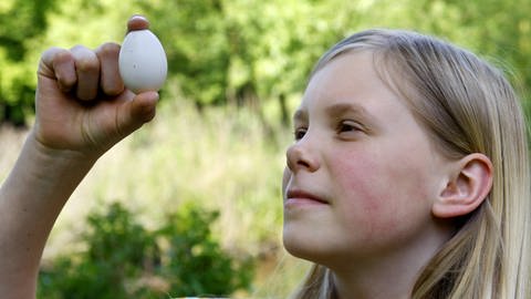 Ein Mädchen beobachtet ein befruchtetes Hühnerei im Gegenlicht