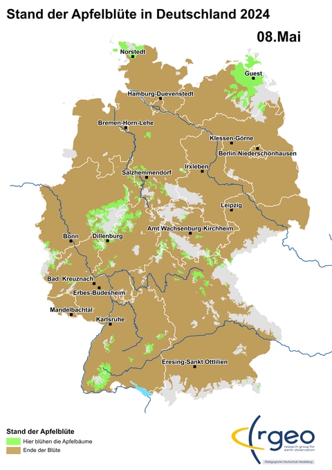 Ausbreitung der Apfelblüte in Deutschland am 8. Mai 2024