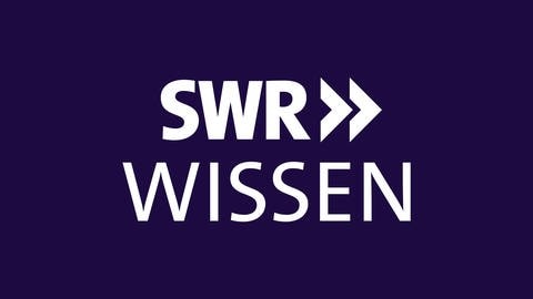 Logo SWR Wissen mit grauem Rahmen