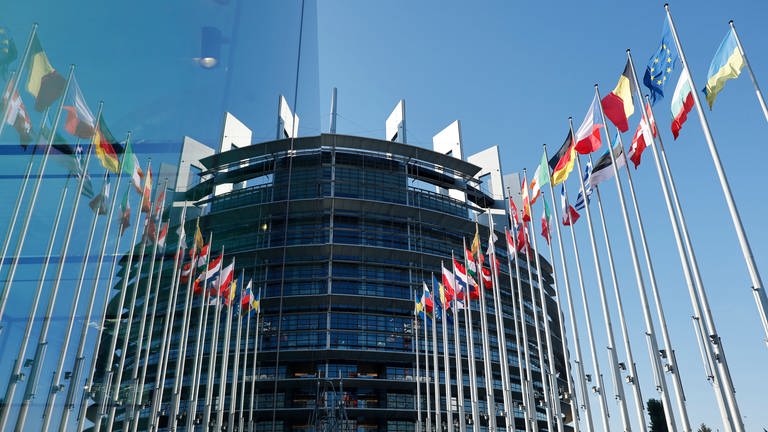 Die Flaggen der europäischen Länder wehen am Europäischen Parlament. 