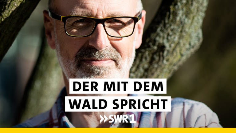 Peter Wohlleben - Der mit dem Wald spricht