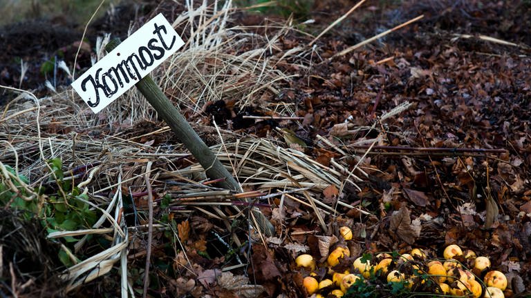 Ein angelegter Komposthaufen in einem Garten in dem ein Pfahl mit der Beschriftung "Kompost" zu sehen ist. Es ist gut zu wissen, welche Pflanzen man auf den Kompost werfen darf und welche nicht.
