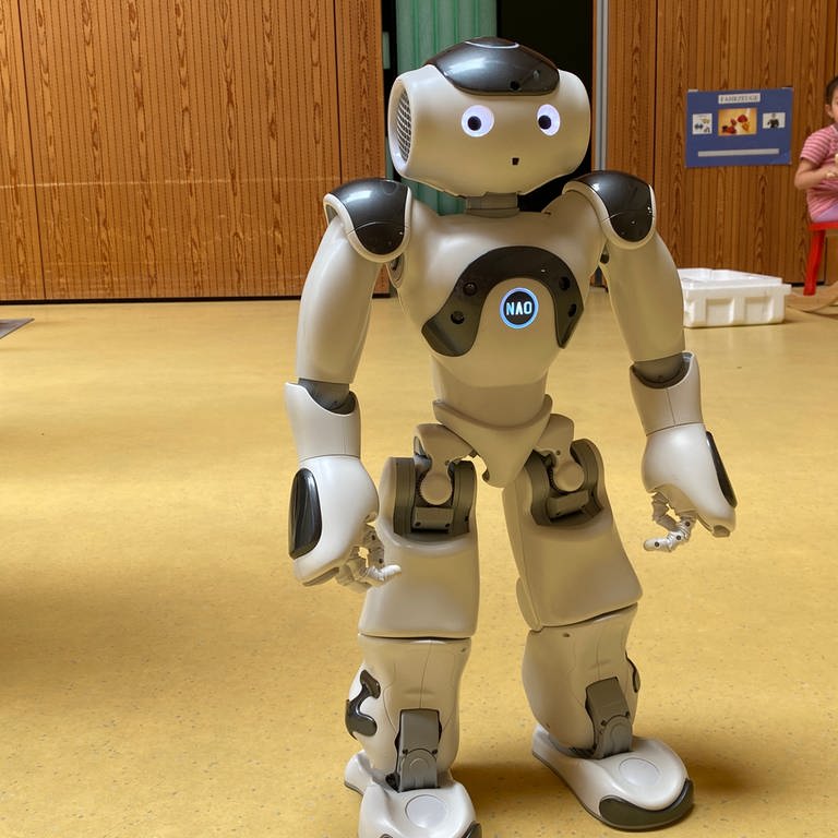 Roboter Nao in einer Kita in Karlsruhe (Foto: SWR, SWR/Laura Bisch)