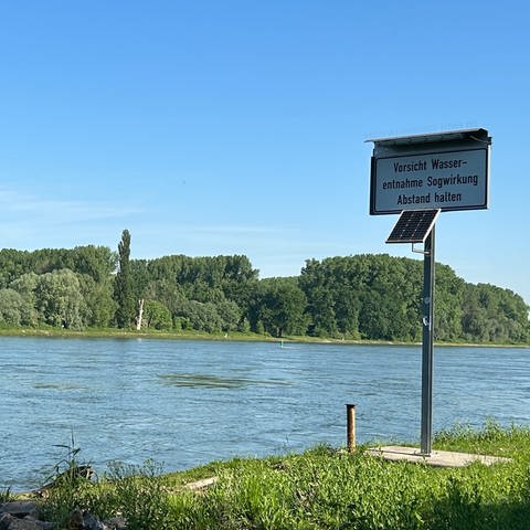Wie sauber ist der Rhein bei Karlsruhe? Unterwegs bei einer Kontrolle