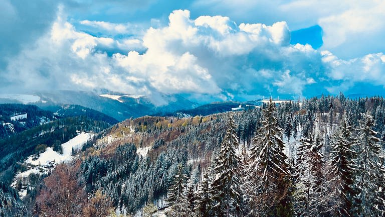 Der Schneefall am Wochenende führte im Schwarzwald an einigen Stellen zu Verkehrsproblemen. Dennoch konnten sich viele über den Anblick der verschneiten Landschaft freuen. Festgehalten von Samantha Happ.
