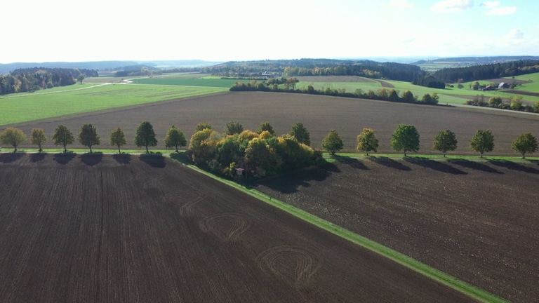 Das idyllische Gelände der Staatsdomäne Waldhof möchte die Bundesregierung für Fallschirmspringer nutzen. (Foto: SWR, Zur Sache Baden-Württemberg)