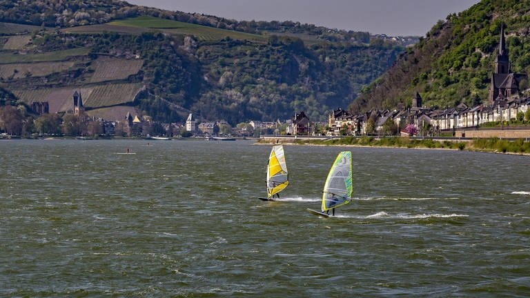 Windsurfer auf dem Rhein bei Lorch