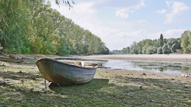 Ein Angelkahn liegt am Rhein auf dem Trockenen: Kann der Rhein mit einer neugestalteten Flusslandschaft den Klimawandel überleben?