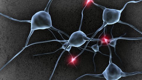 Neben Hirnzellen, die für ein Sättigungsgefühl sorgen, gibt es auch Neuronen im Gehirn, die bei Übelkeit oder Bauchweh aktiviert werden. Symbolbild: Nervenzellen, Neuronen und Synapsen im Gehirn