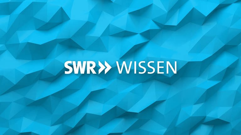 SWR Wissen Logo für die Über-Uns-Seite
