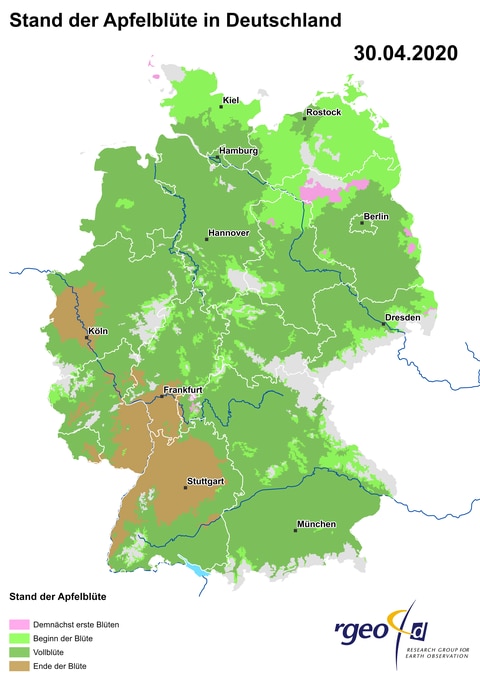 Landkarte der Ausbreitung der Apfelblüte in Deutschland am 30. April 2020