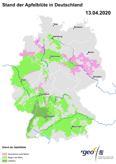 Landkarte der Ausbreitung der Apfelblüte in Deutschland am 13. April 2020