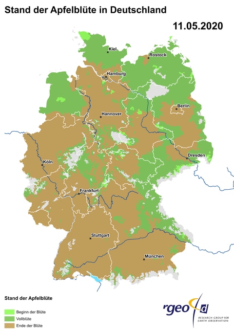 Landkarte der Ausbreitung der Apfelblüte in Deutschland am 11. Mai 2020