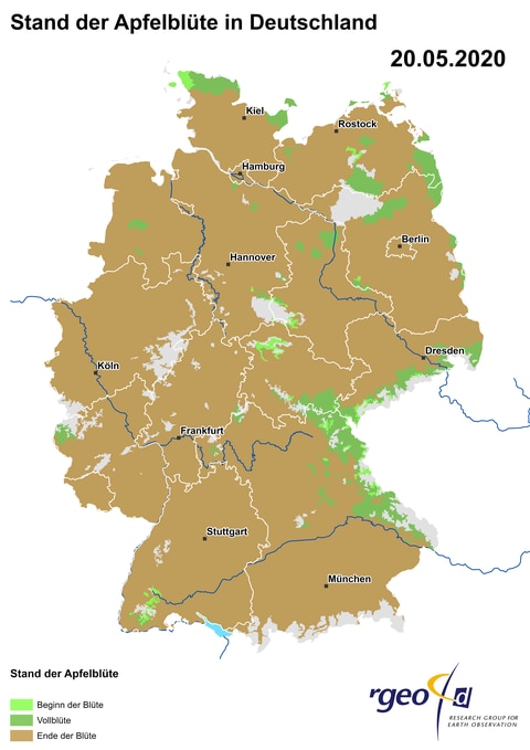Ausbreitung der Apfelblüte in Deutschland am 20. Mai 2020