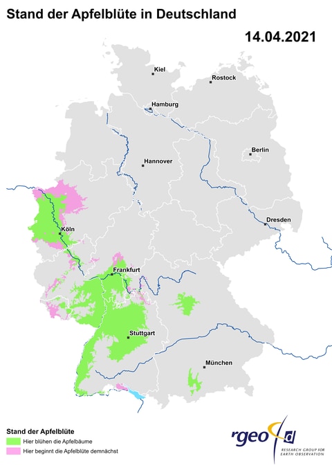 Ausbreitung der Apfelblüte in Deutschland am 14. April 2021.