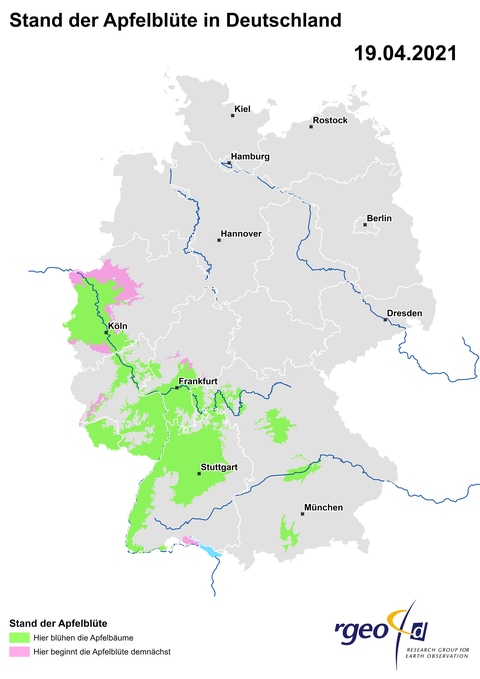 Ausbreitung der Apfelblüte in Deutschland am 19. April 2021