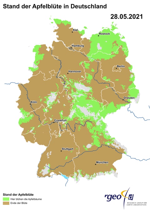 Landkarte der Ausbreitung der Apfelblüte in Deutschland am 28. Mai 2021