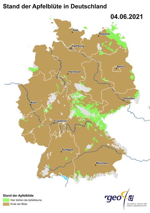 Landkarte der Ausbreitung der Apfelblüte in Deutschland am 4. Juni 2021