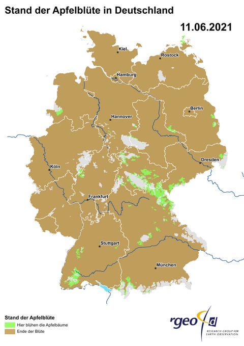 Landkarte der Ausbreitung der Apfelblüte in Deutschland am 11. Juni 2021