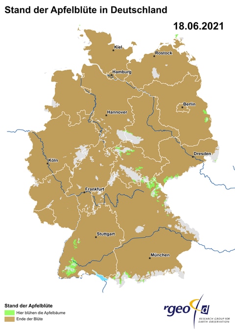 Landkarte der Ausbreitung der Apfelblüte in Deutschland am 18. Juni 2021