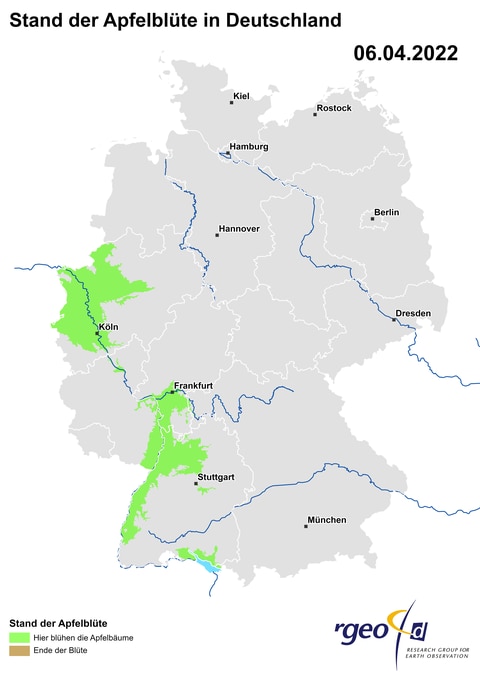 Aus aus den eingegangenen Beobachtungen berechnete Ausbreitung der Apfelblüte in Deutschland am 6. April 2022.