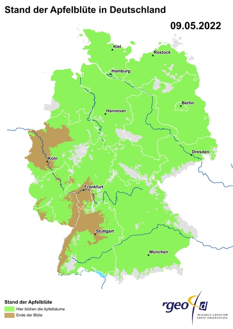 Landkarte der Ausbreitung der Apfelblüte in Deutschland am 9. Mai 2022