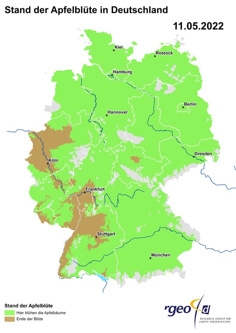 Landkarte der berechneten Ausbreitung der Apfelblüte in Deutschland am 11. Mai 2022