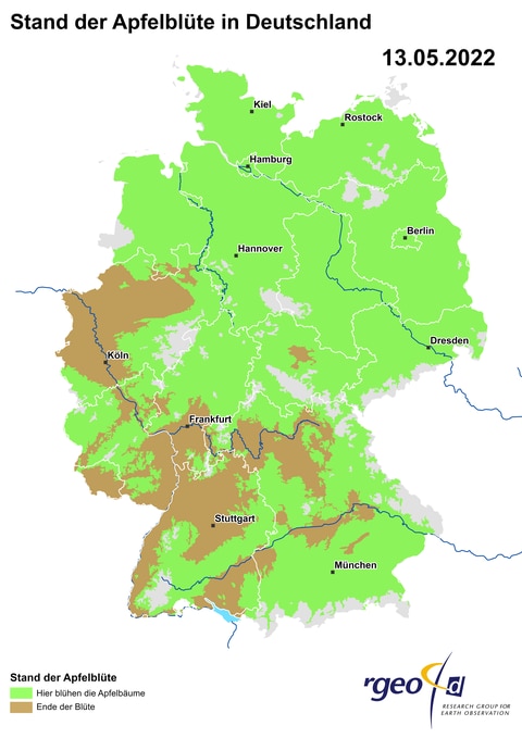 Landkarte der Ausbreitung der Apfelblüte in Deutschland am 13. Mai 2022