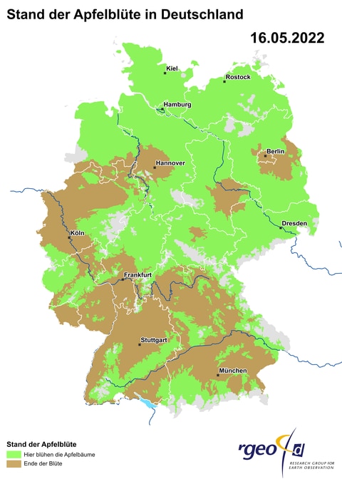 Landkarte der berechneten Ausbreitung der Apfelblüte in Deutschland am 16. Mai 2022