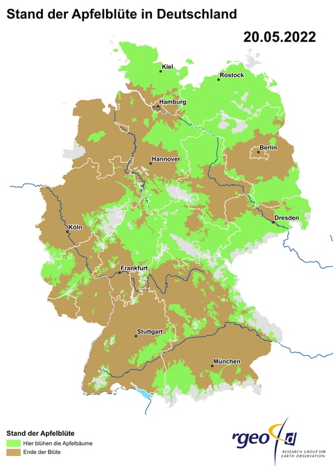 Die aus den Daten der Teilnehmer berechnete Landkarte der Ausbreitung der Apfelblüte in Deutschland am 20. Mai 2022