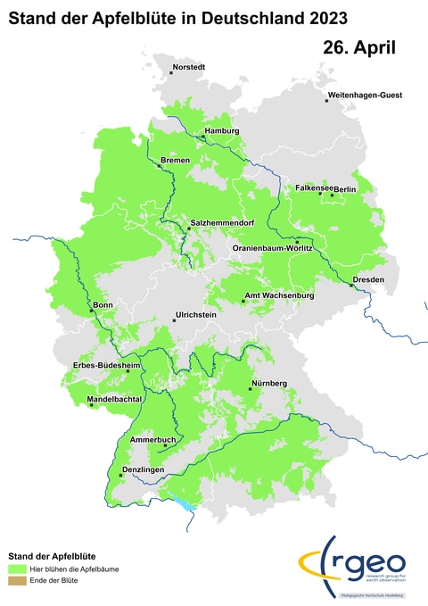 26. April: Jetzt ist Apfelblütenland tatsächlich erstmals eine geschlossene Fläche, auf der man vom Bodensee am Rhein entlang oder über eine Alpen-Main-Route bis zur Nordsee und von dort weiter ostwärts bis zur Oder wandern kann. Ständig von blühenden Apfelbäumen umgeben.