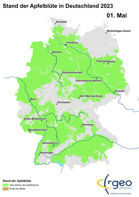 1. Mai: Die Apfelblüte hat nun die Donau in Niederbayern erreicht und ebenso die Mittlere Elbe. Sie klettert auch immer weiter in die Mittelgebirge, deren Ränder erscheinen auf der Karte immer ausgefranster. Außerdem wächst Apfelblütenland weiter nach Norden und Nordosten.