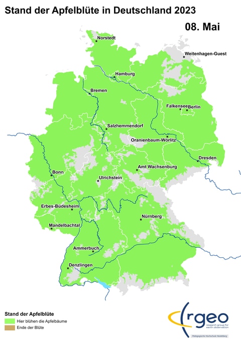 8. Mai: Im Schwarzwald, im äußersten Südwesten Deutschlands, sind nur noch die hohen Lagen frei von Apfelblüten. In Vorpommern, im äußersten Nordosten, dürfte die Apfelblüte demnächst einsetzen. Apfelblütenland hat damit wahrscheinlich seine größte Ausdehnung erreicht und wird nun von Südwesten her wieder schrumpfen