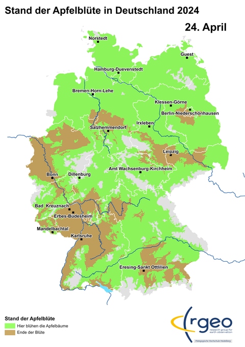 Landkarte der Ausbreitung der Apfelblüte in Deutschland am 24. April 2024