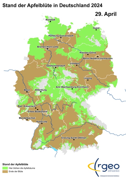29. April Landkarte der Apfelblüte in Deutschland am 29. April 2024